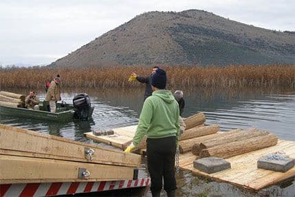 Postavljene platforme za gniježđenje pelikana u rezervatu Pančeva oka Postavljene platforme za gniježđenje pelikana u rezervatu Pančeva oka