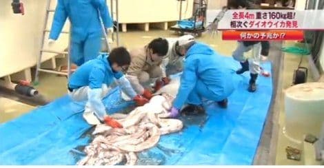 VIDEO: Ribar izvadio mrežu iz mora, šokirao ga ulov VIDEO: Ribar izvadio mrežu iz mora, šokirao ga ulov