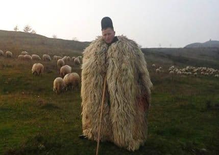 Čobanin sa 500.000 lajkova Čobanin sa 500.000 lajkova