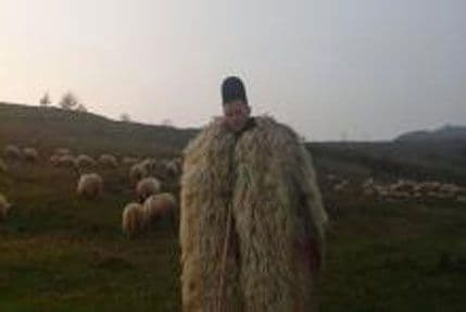 Rumunija: Čobanin sa 500.000 lajkova Rumunija: Čobanin sa 500.000 lajkova