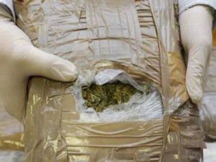 Albanija: Zaplijenjeno 1,2 tone kanabisa Albanija: Zaplijenjeno 1,2 tone kanabisa