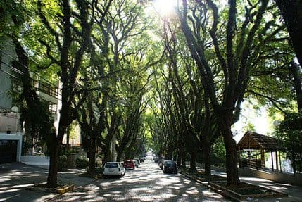 VIDEO: Najljepša ulica na svijetu? VIDEO: Najljepša ulica na svijetu?