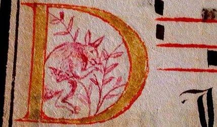 Jedan crveni kengur mogao bi da promijeni istoriju Jedan crveni kengur mogao bi da promijeni istoriju