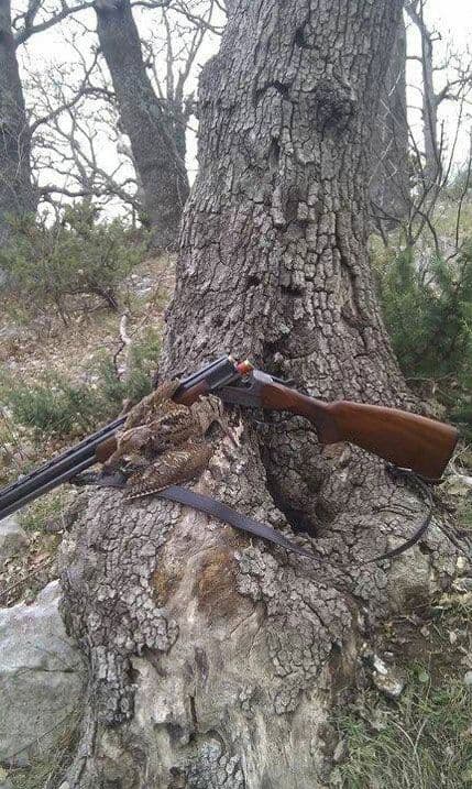 Bar: Proglašene najbolje lovne fotografije Bar: Proglašene najbolje lovne fotografije