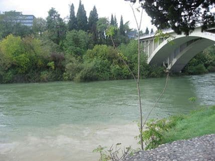 DARMANOVIĆ: Nagli porast vodotoka i Skadarskog jezera, ali situacija nije alarmantna DARMANOVIĆ: Nagli porast vodotoka i Skadarskog jezera, ali situacija nije alarmantna