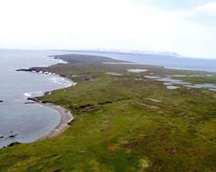 Poginulo deset ruskih graničara Poginulo deset ruskih graničara