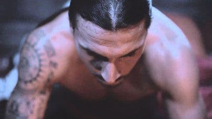 Ibrahimović zaštitno lice Volva Ibrahimović zaštitno lice Volva