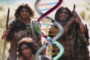 Evropljani osjetljivog zdravlja zbog gena neandertalaca?