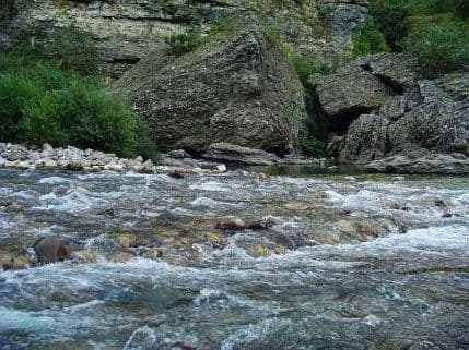 MIJAJLOVIĆ: Ronioci pronašli tijelo vozača koji je juče sletio u Moraču MIJAJLOVIĆ: Ronioci pronašli tijelo vozača koji je juče sletio u Moraču