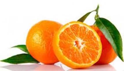 Najbolje namirnice za hladne zimske dane Najbolje namirnice za hladne zimske dane