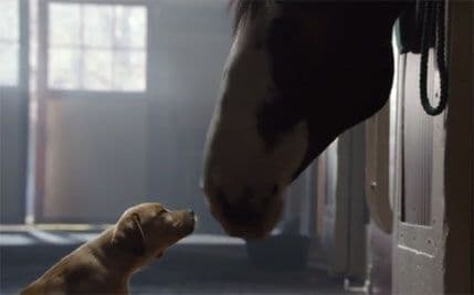 VIDEO: Reklama koja osvaja internet VIDEO: Reklama koja osvaja internet