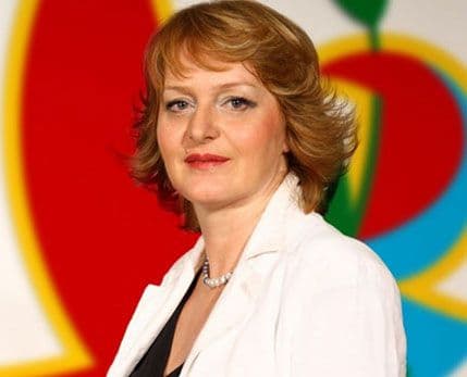 Bošnjak: VDT napravio propuste u partijske svrhe Bošnjak: VDT napravio propuste u partijske svrhe