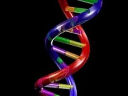 Geni utiču na prag tolerancije bola Geni utiču na prag tolerancije bola