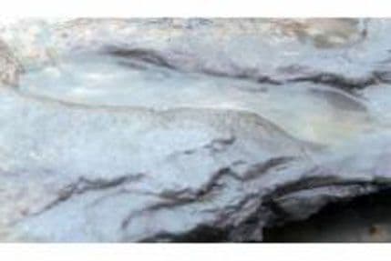 Naučnici otkrili najstarije otiske stopala u Evropi Naučnici otkrili najstarije otiske stopala u Evropi