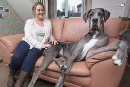 Fredi je poseban, pogledajte zašto Fredi je poseban, pogledajte zašto