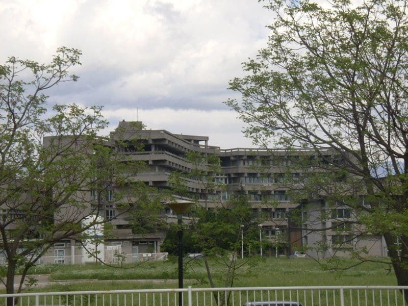 MAŠALA: Rođeno deset dječaka i šest djevojčica MAŠALA: Rođeno deset dječaka i šest djevojčica