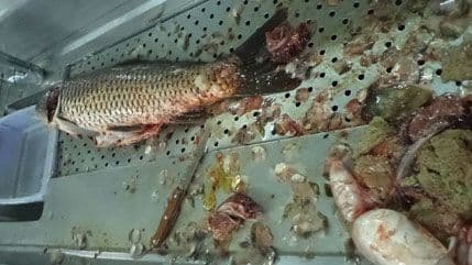 Prodavci jaja, ribe i sira moraju na ispit, pa negoduju: Kojem profesoru dva časa koštaju blizu 100 eura? Prodavci jaja, ribe i sira moraju na ispit, pa negoduju: Kojem profesoru dva časa koštaju blizu 100 eura?