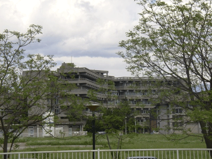 KCCG: Rođeno devet beba KCCG: Rođeno devet beba