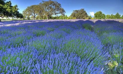 Pejzaži koji oduzimaju dah Pejzaži koji oduzimaju dah