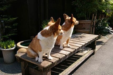 Kada roditeljska ljubav ne poznaje granice Kada roditeljska ljubav ne poznaje granice