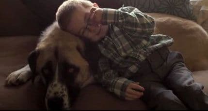 VIDEO: Kako je pas bez noge pomogao dječaku koji koristi kolica VIDEO: Kako je pas bez noge pomogao dječaku koji koristi kolica