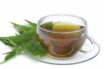 Ishrana za vegetarijance - tri biljna izvora gvožđa Ishrana za vegetarijance - tri biljna izvora gvožđa