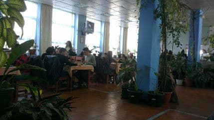 Pasulj nikad ne omane Pasulj nikad ne omane