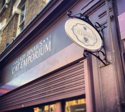 VIDEO: Otvoren prvi kafić za mačke u Londonu VIDEO: Otvoren prvi kafić za mačke u Londonu