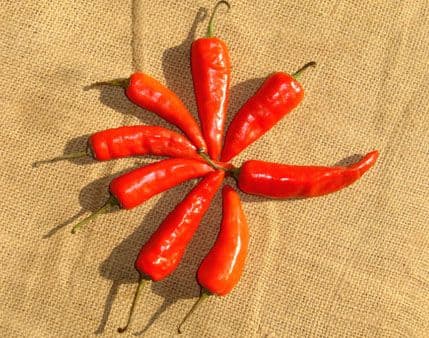 Proizvođači povrća mogu podnositi zahtjeve za podršku iz Agrobudžeta Proizvođači povrća mogu podnositi zahtjeve za podršku iz Agrobudžeta