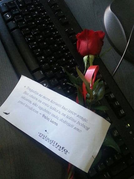 Cvijeće i podrška za Sigurnu žensku kuću povodom 8.marta Cvijeće i podrška za Sigurnu žensku kuću povodom 8.marta