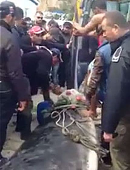 Ribar u šoku: Prvo sam mislio da je branik automobila, kad ono...(VIDEO) Ribar u šoku: Prvo sam mislio da je branik automobila, kad ono...(VIDEO)