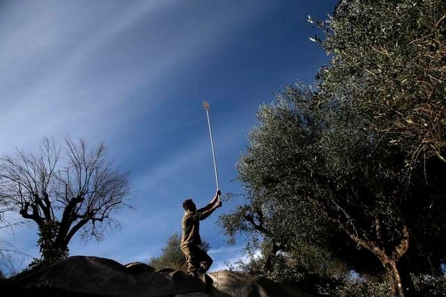 Španska sela na prodaju za 60.000 eura Španska sela na prodaju za 60.000 eura