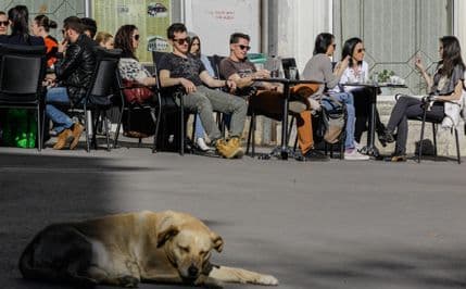 Proljeće u regiji: Šetnja i ispijanje kafe u baštama Proljeće u regiji: Šetnja i ispijanje kafe u baštama