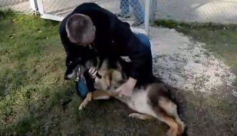 VIDEO: Ponovni susret vojnika i psa koji su zajedno služili u Iraku VIDEO: Ponovni susret vojnika i psa koji su zajedno služili u Iraku