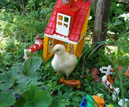 FOTO: Irena Bulajić poslala fotografije za nagradnu igru FOTO: Irena Bulajić poslala fotografije za nagradnu igru