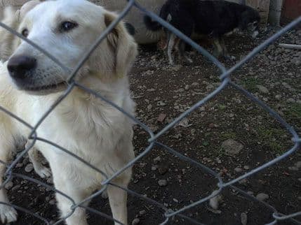 FOTO: Udomite Linu FOTO: Udomite Linu