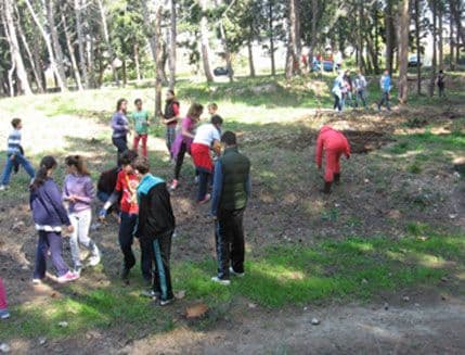 BAR: Obnova “Šumica”, druga epizoda (FOTO) BAR: Obnova “Šumica”, druga epizoda (FOTO)