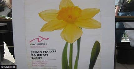 U Mostaru se održava manifestacija “Jedan narcis - jedan život” U Mostaru se održava manifestacija “Jedan narcis - jedan život”