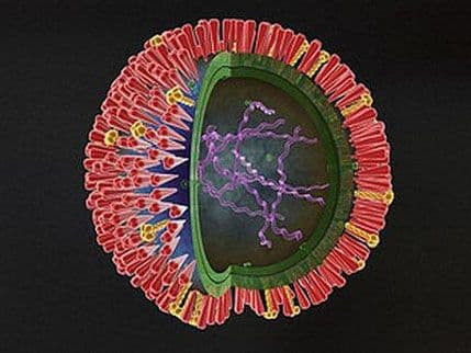 Ogroman procenat slučajeva gripe ostaje neprepoznat Ogroman procenat slučajeva gripe ostaje neprepoznat