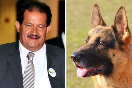 Odbio zvanje ambasadora u Brazilu jer bi njegovom psu bilo prevruće Odbio zvanje ambasadora u Brazilu jer bi njegovom psu bilo prevruće