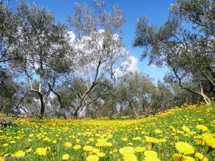 Stiže proljeće Stiže proljeće