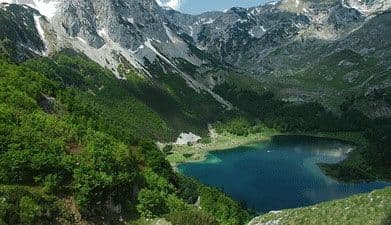 NVO Zeleni: Neracionalno upravljanje šumama NVO Zeleni: Neracionalno upravljanje šumama