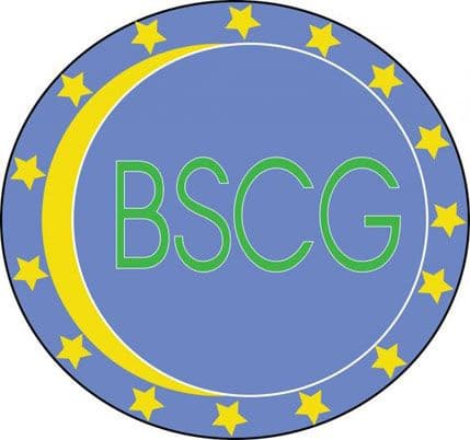 BSCG: Ne izazivajte mogućnost neregularnih izbora BSCG: Ne izazivajte mogućnost neregularnih izbora