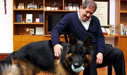 Zbog psa odbio posao ambasadora Zbog psa odbio posao ambasadora