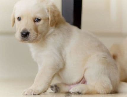 VIDEO: Prvi susret sa svijetom VIDEO: Prvi susret sa svijetom