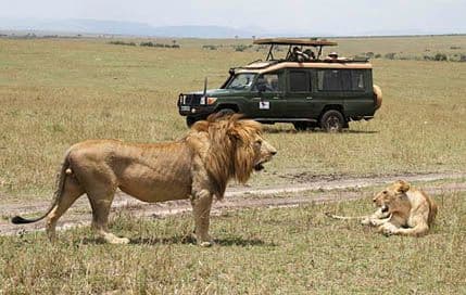 Safari od milion dolara Safari od milion dolara