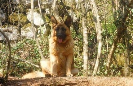 DZZŽ „Sunčani sat“: Obezbijedimo lunjama još bolje uslove za život DZZŽ „Sunčani sat“: Obezbijedimo lunjama još bolje uslove za život