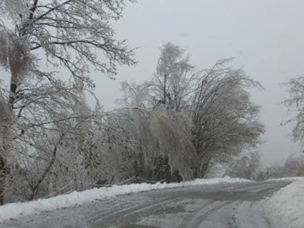 Zabijelilo na Žabljaku Zabijelilo na Žabljaku