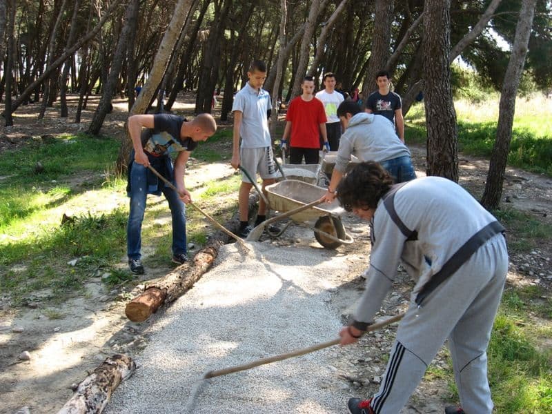 Završena treća faza „Šumica“ Završena treća faza „Šumica“