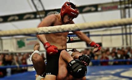 Džankić, Zarubica i Savić na MMA turniru Džankić, Zarubica i Savić na MMA turniru